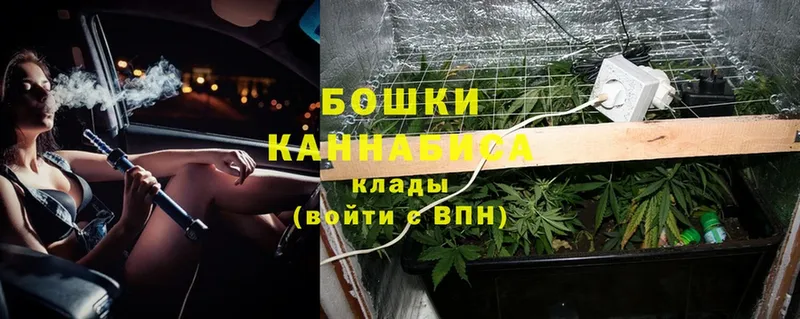 Канабис White Widow  Армянск 